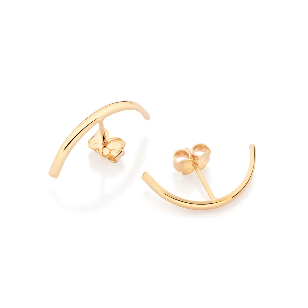 Brinco Ear Hook