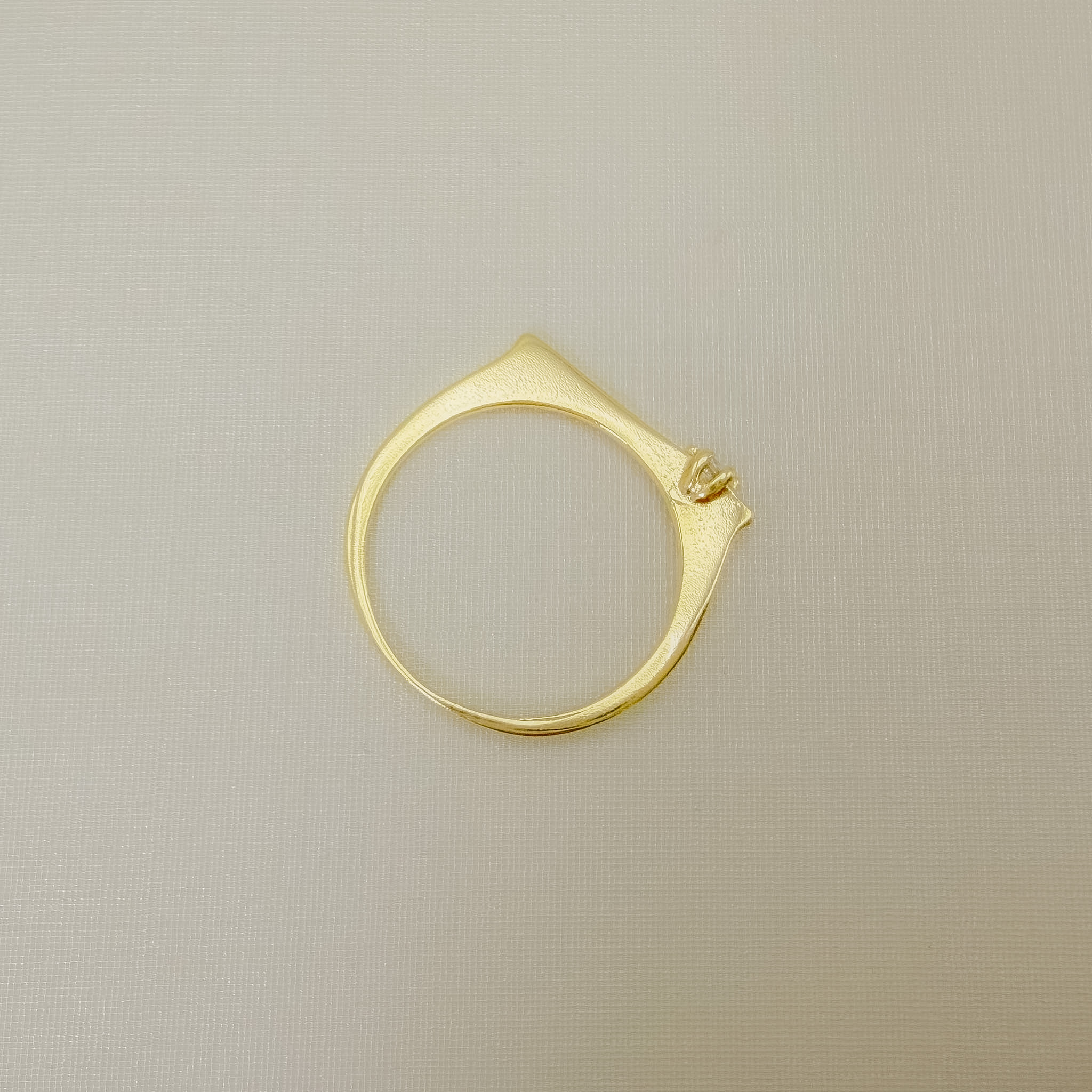 03.2589.1.O - (17) Anel de aro reto com um ponto de luz em seis garras em extremidade