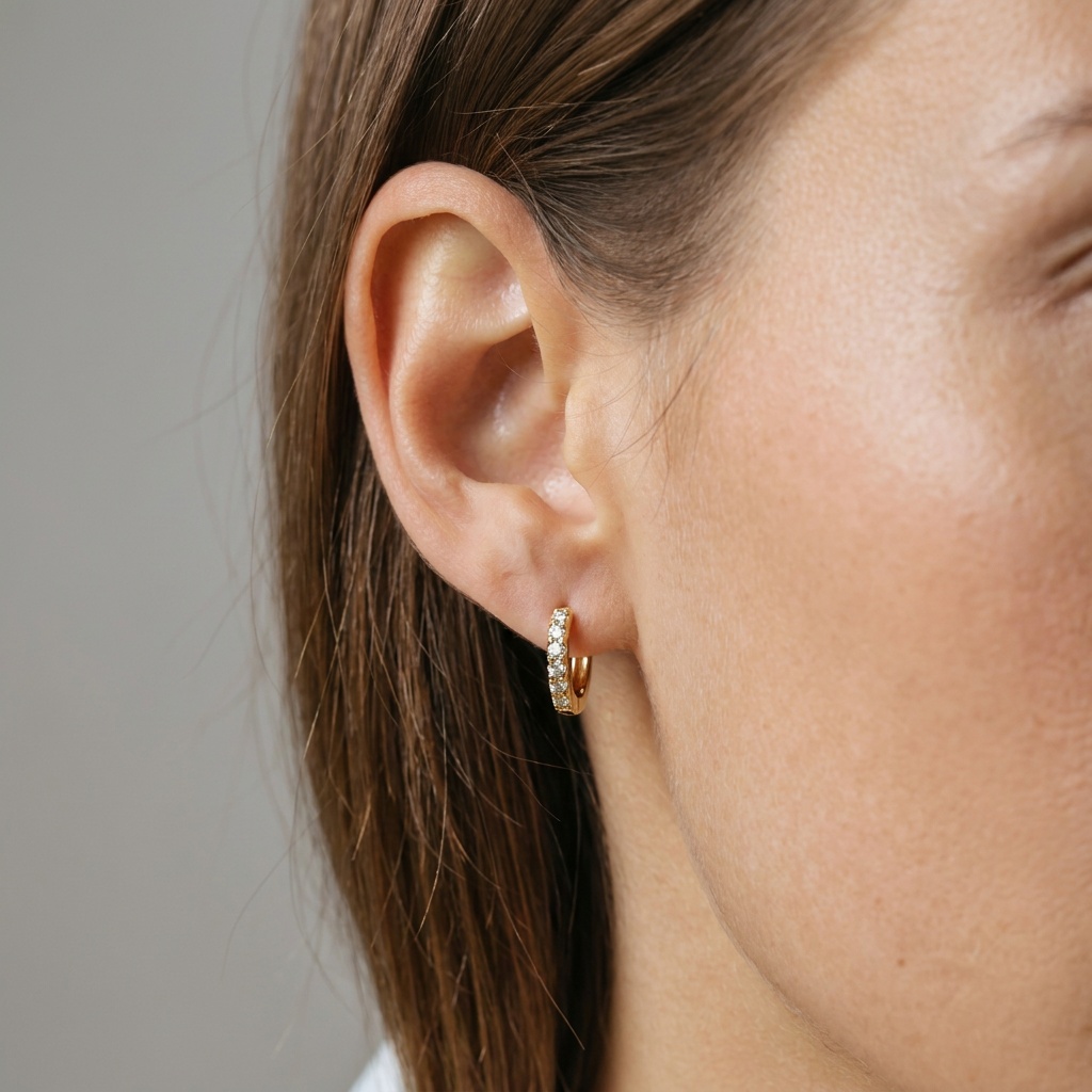 Brinco de Argolinha Cravejadas em Microzircônias Folhado a Ouro 18k