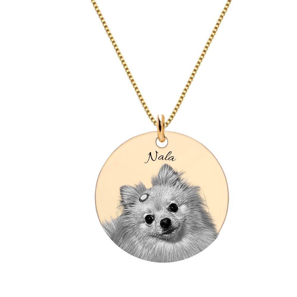 Colar Personalizado Medalha M Fotogravação Ouro
